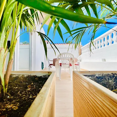 Lavitalsol أذيخي