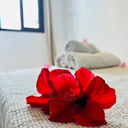Lavitalsol דירה אדחה