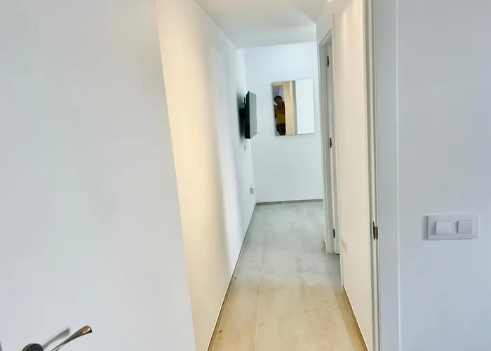 Lavitalsol * 阿德耶