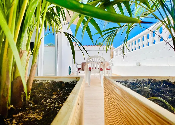 Lavitalsol 阿德耶