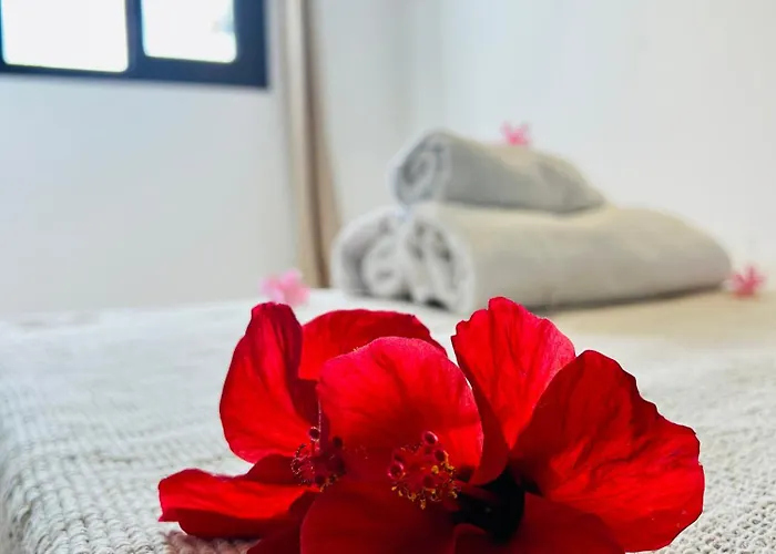 Lavitalsol Appartamento Costa Adeje (Tenerife)