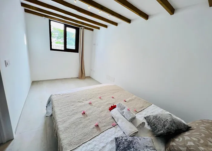 Apartament Lavitalsol *